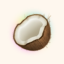 Coconote icon