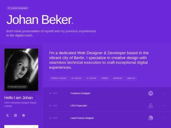 Designer Portfolio Bio & Experience Section preview