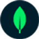 MongoDB icon