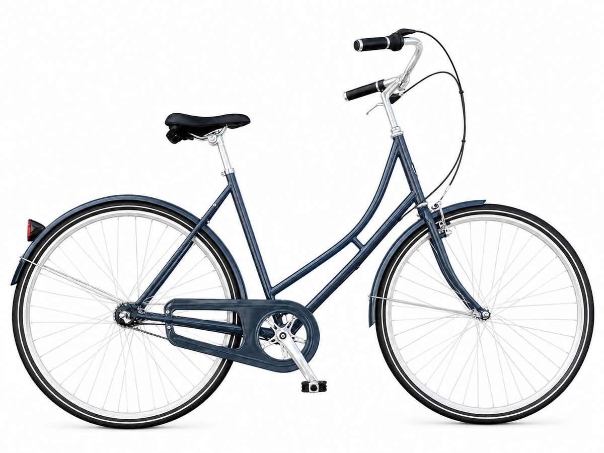 Amsterdam dame cykel med Godkendt Lås 3 GEAR Shimano Nexus