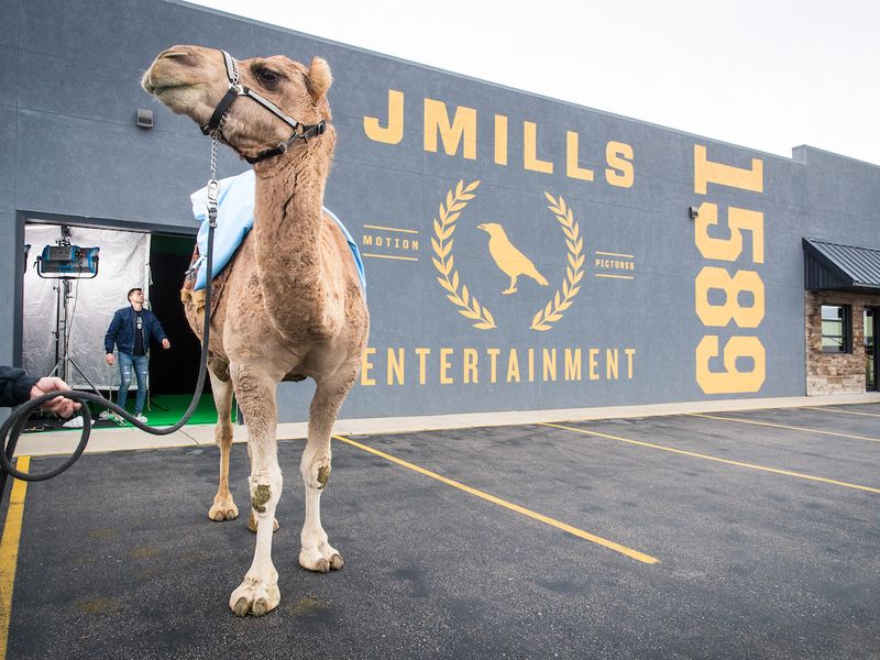 Commercial film production behind the scenes 20191120 camel 0018