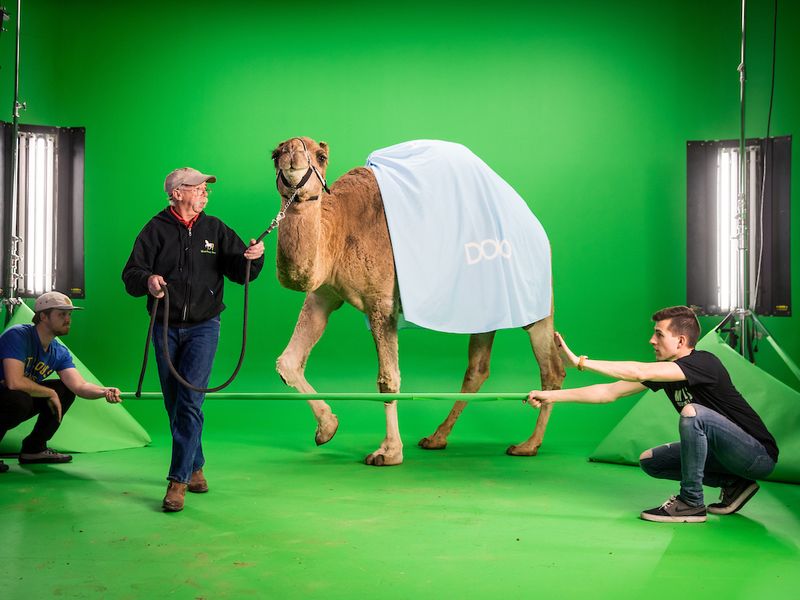 Commercial film production behind the scenes 20191120 camel 0044