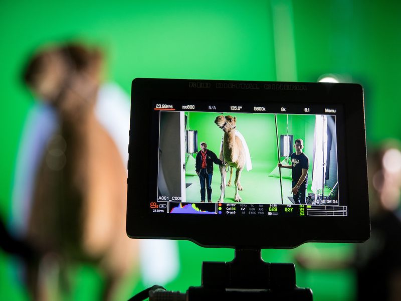 Commercial film production behind the scenes 20191120 camel 0053