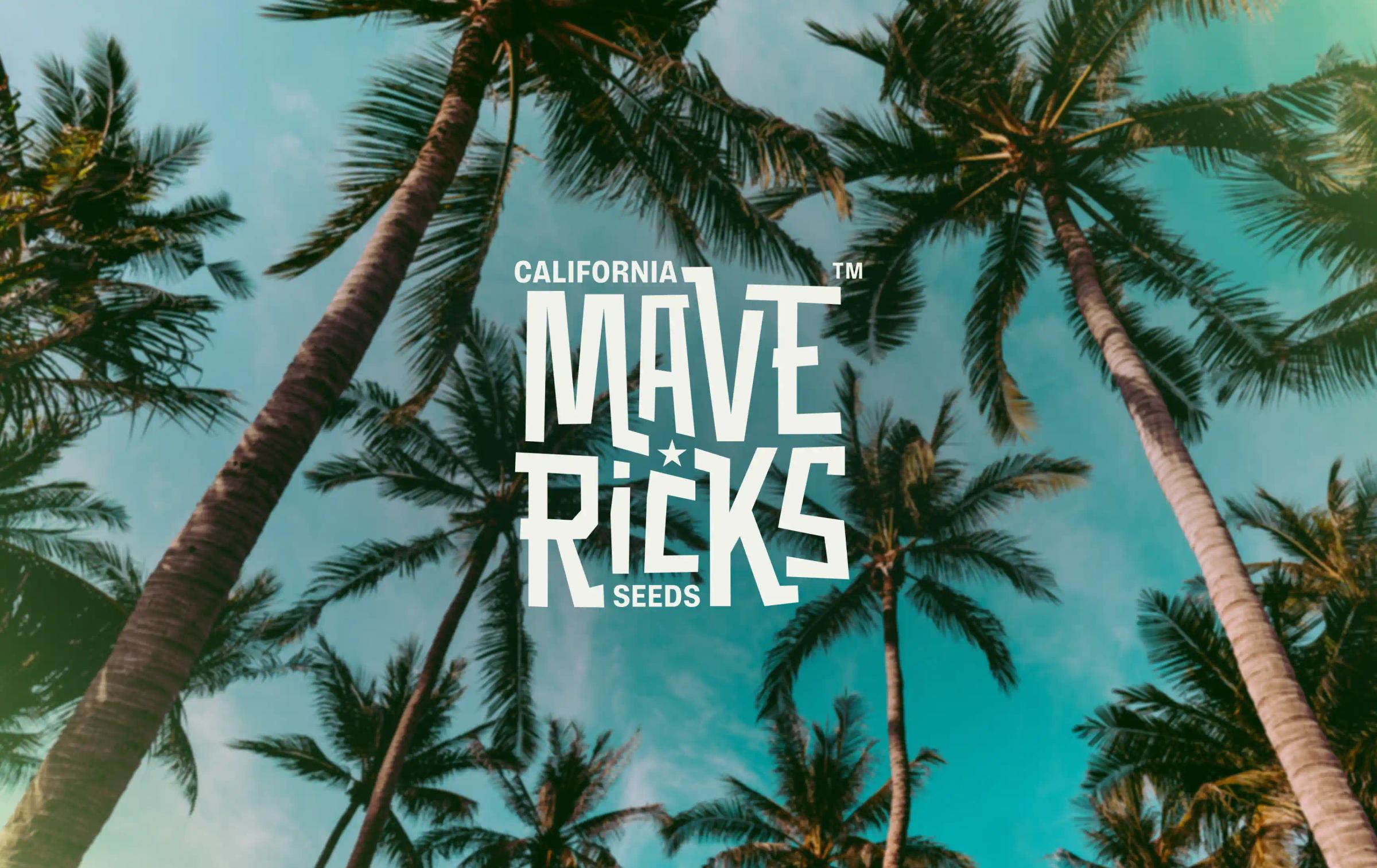 Mavericks