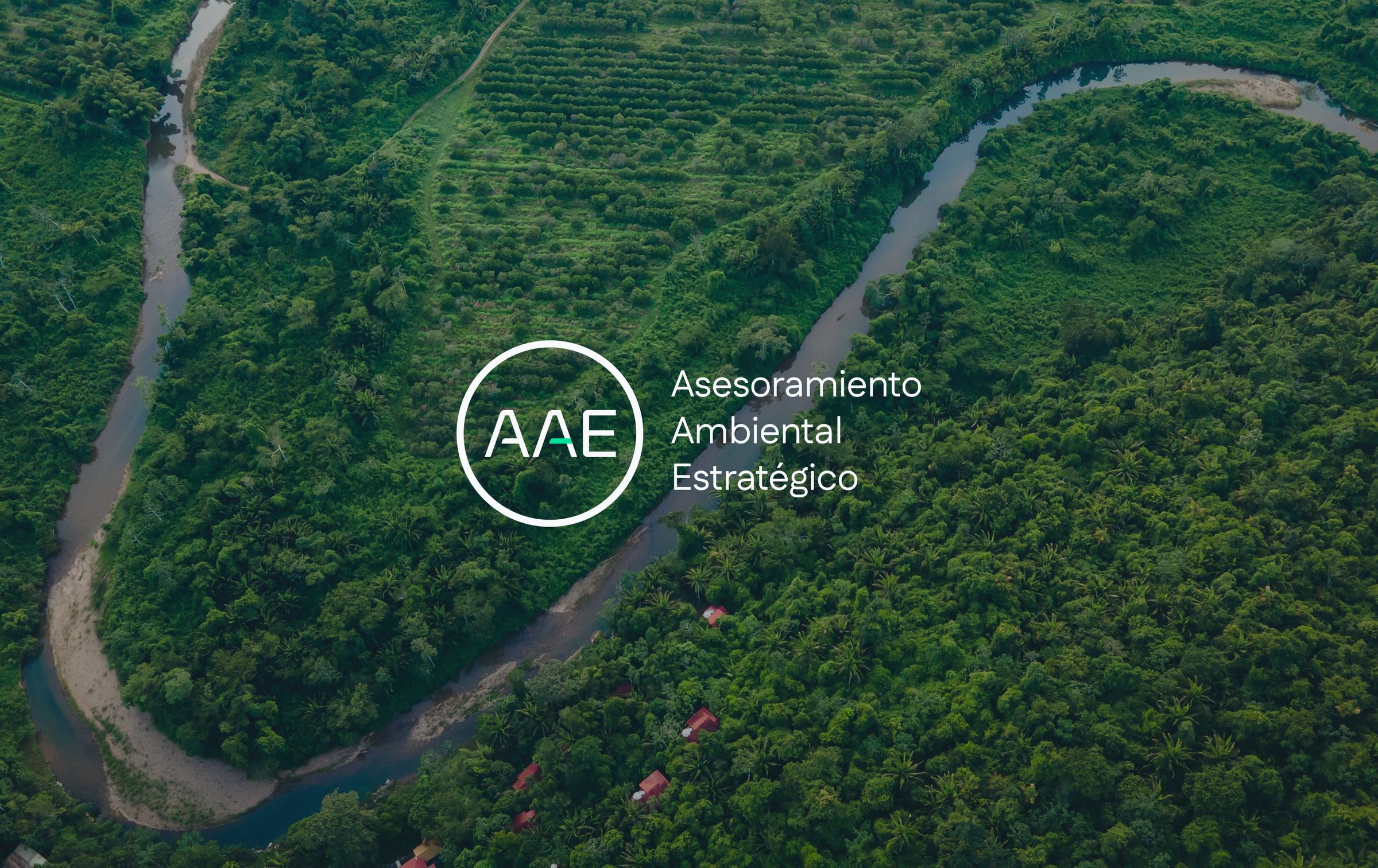 AAE