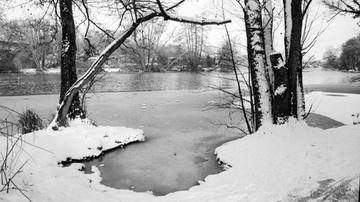 Winterimpressionen im Schnee am Fluss. Schwarzweiß-Bild auf Kodak Tri-X 400 Film aufgenommen.