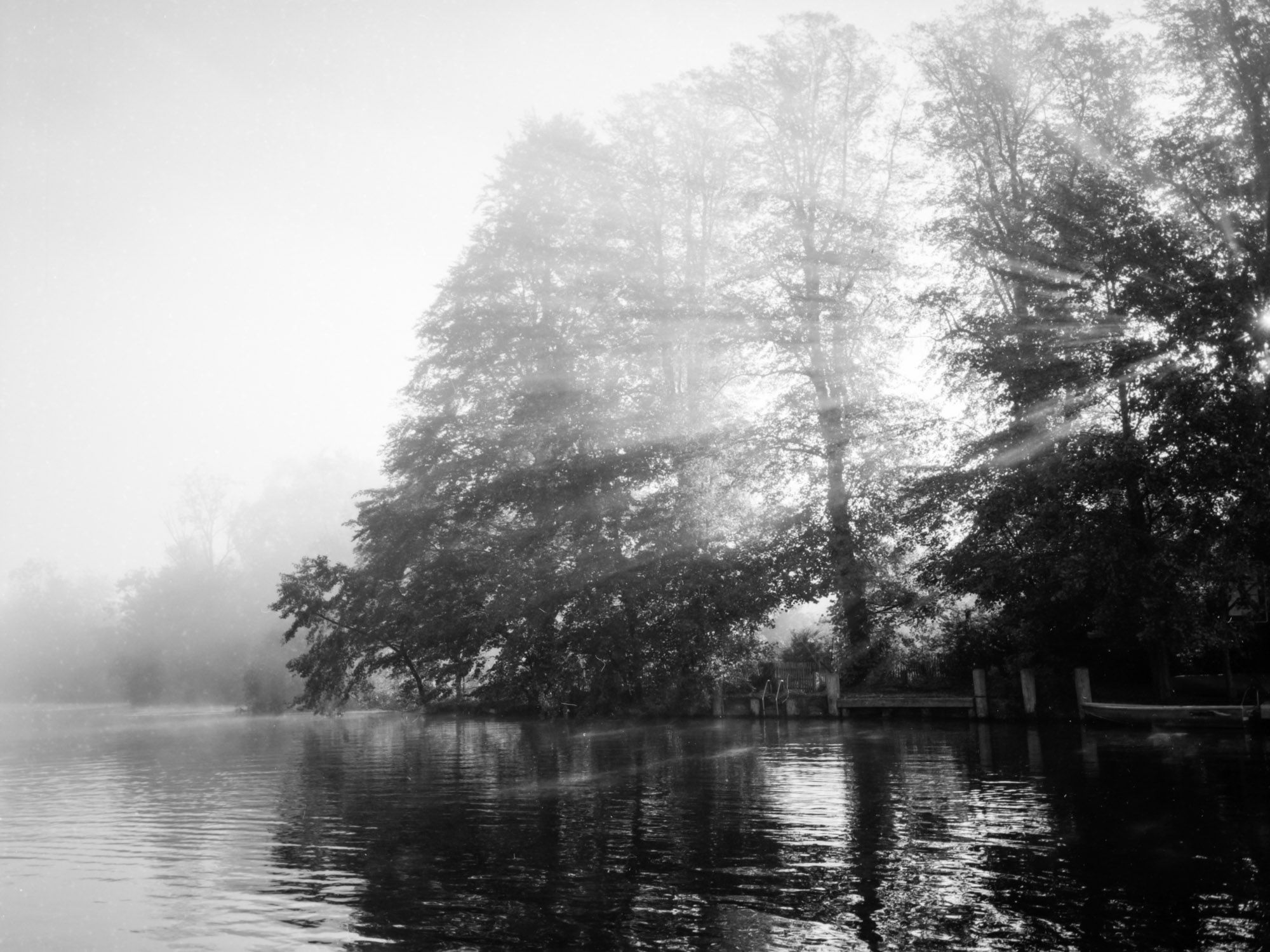 Die Sonnenstrahlen brechen durch den Nebel und werfen ein warmes Licht über das Wasser, das die gedämpfte Landschaft in eine magische Szene verwandelt.