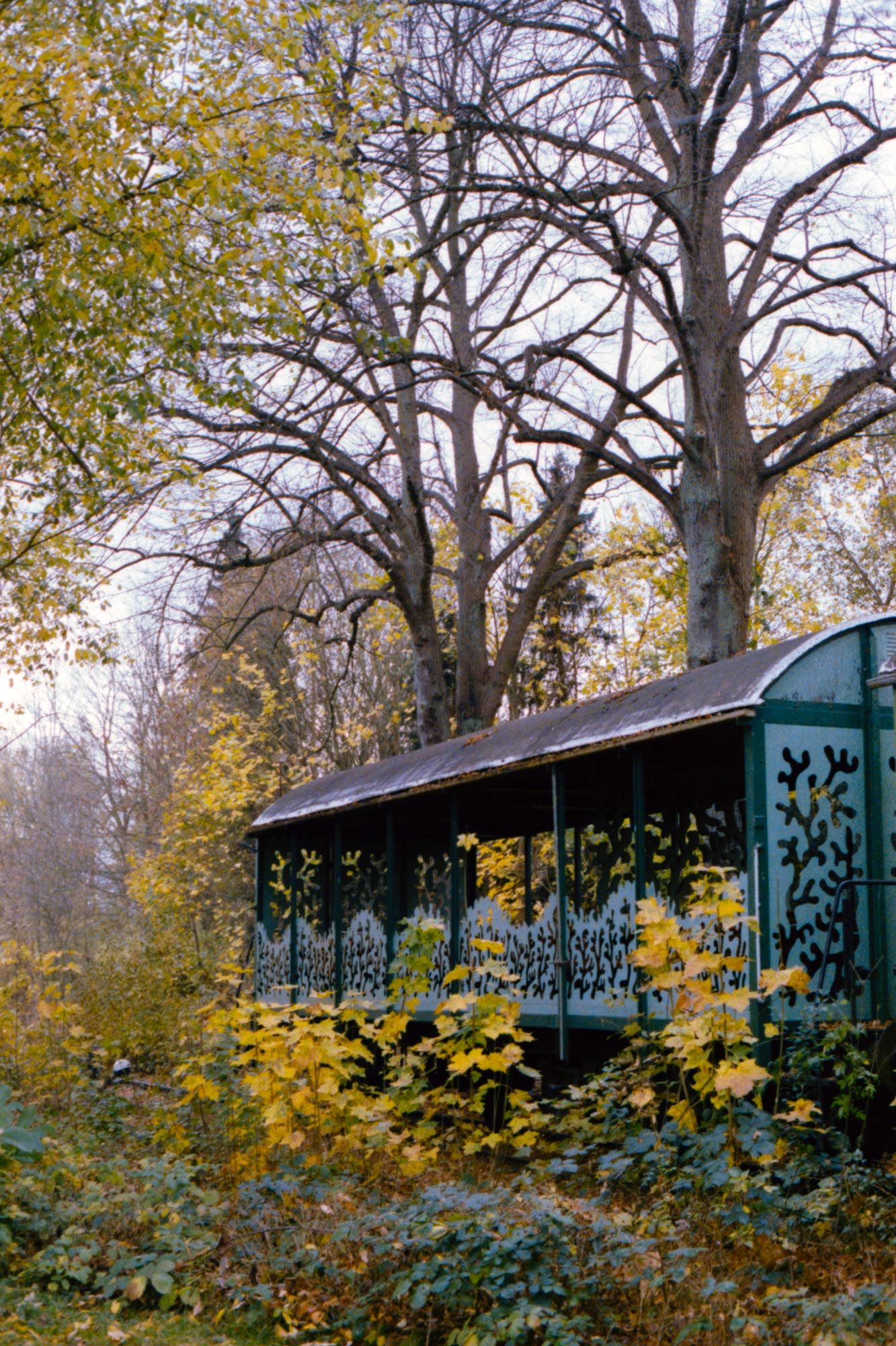 Verfallender Eisenbahnwaggon, umgeben von bunten Herbstbäumen.
