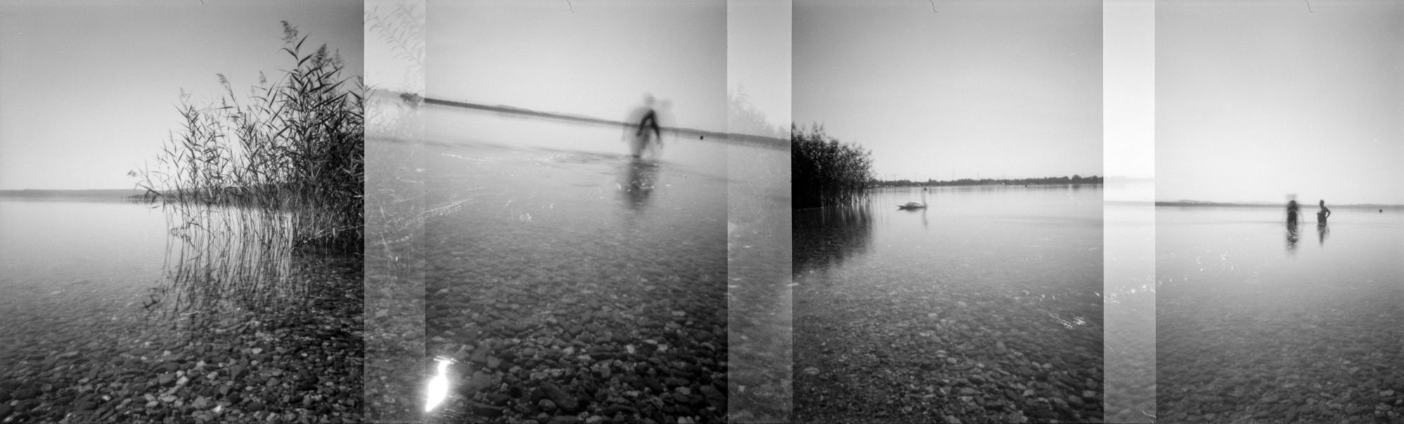 Vier Bilder als Collage von einer Seeansicht und Menschen, die schwimmen gehen.