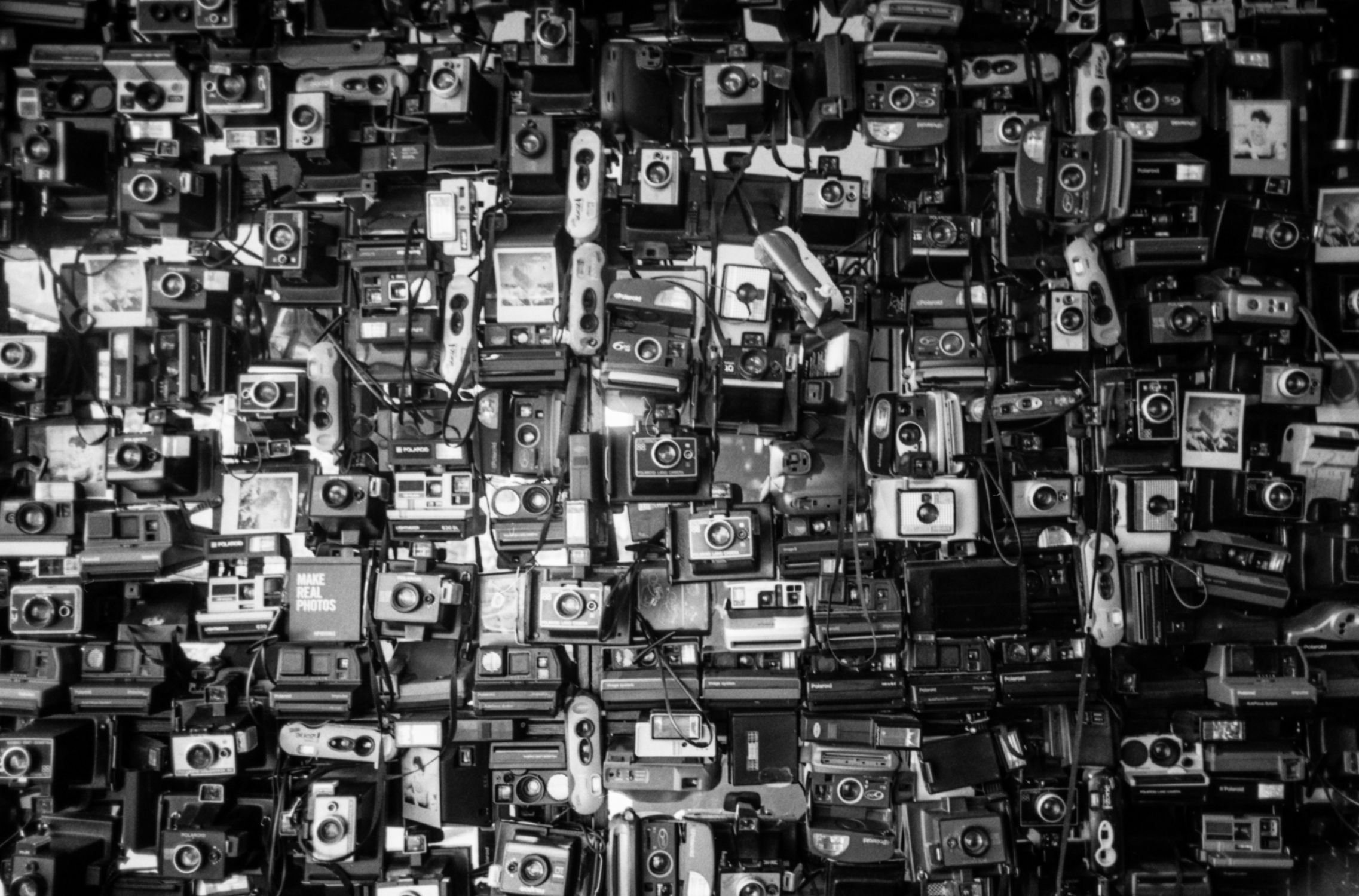 Wall full of polaroid cameras.