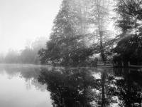 Dichter Nebel hüllt die Landschaft in eine mystische Kulisse. Sanfte, verschwommene Konturen von Bäumen und Wasserflächen schaffen eine ruhige, verträumte Stimmung, durchbrochen von Sonnenstrahlen.