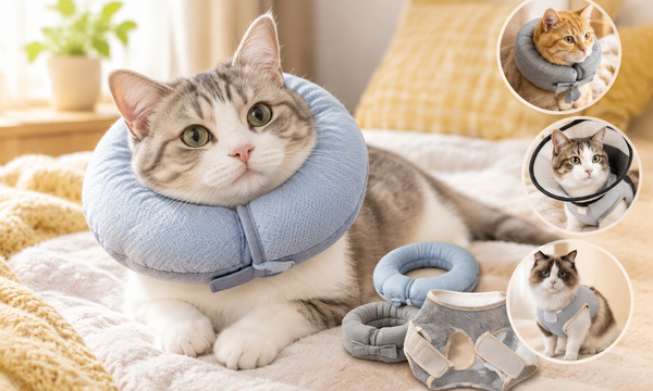 Best Cat Cone Alternatives After Surgery 2026: Comfortable Recovery Collars