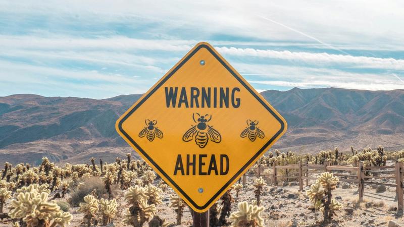 7 Signs You Need Automatic Cold Outreach (Warning Signs to Watch For)