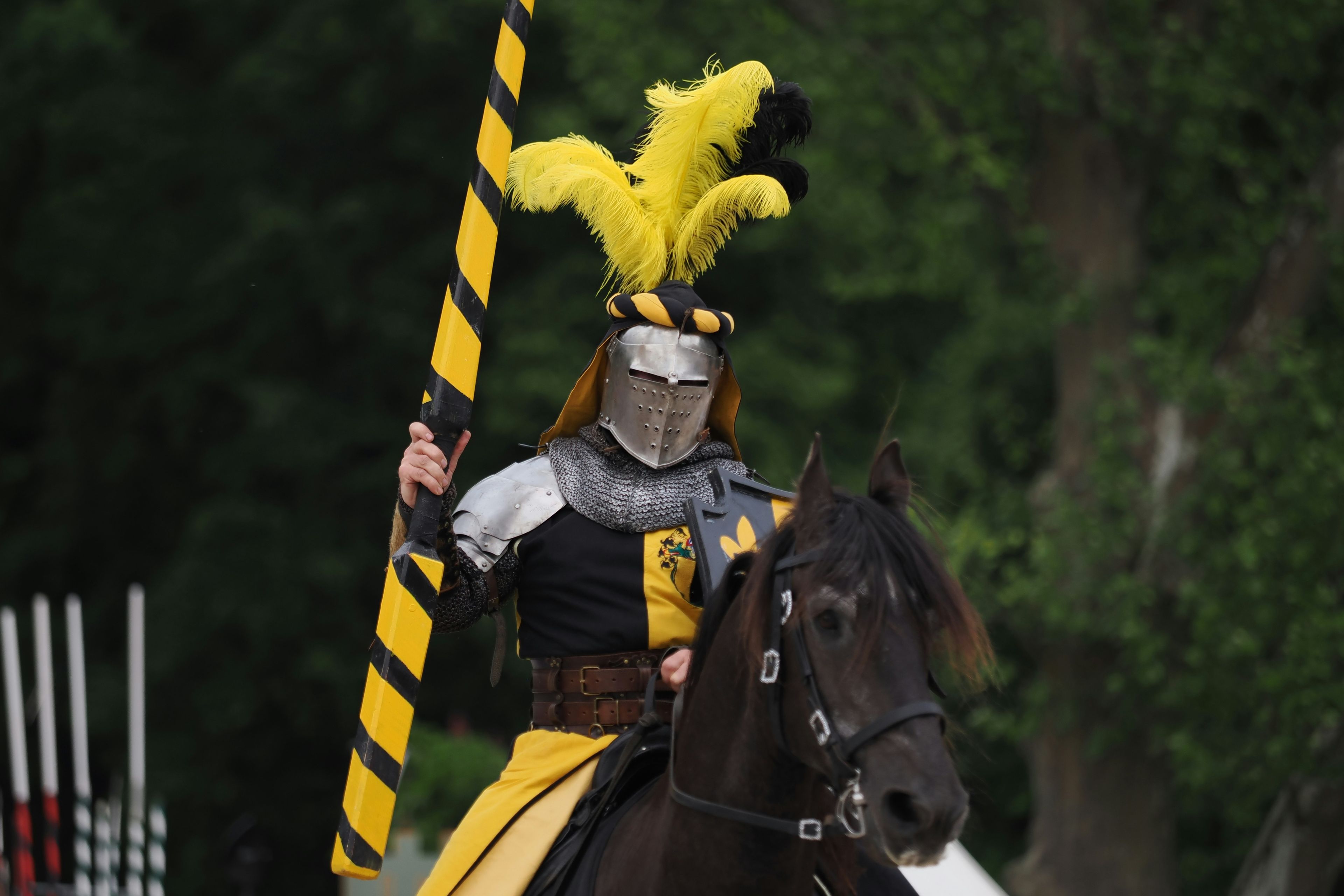 A knight rides on horseback holding a lance.