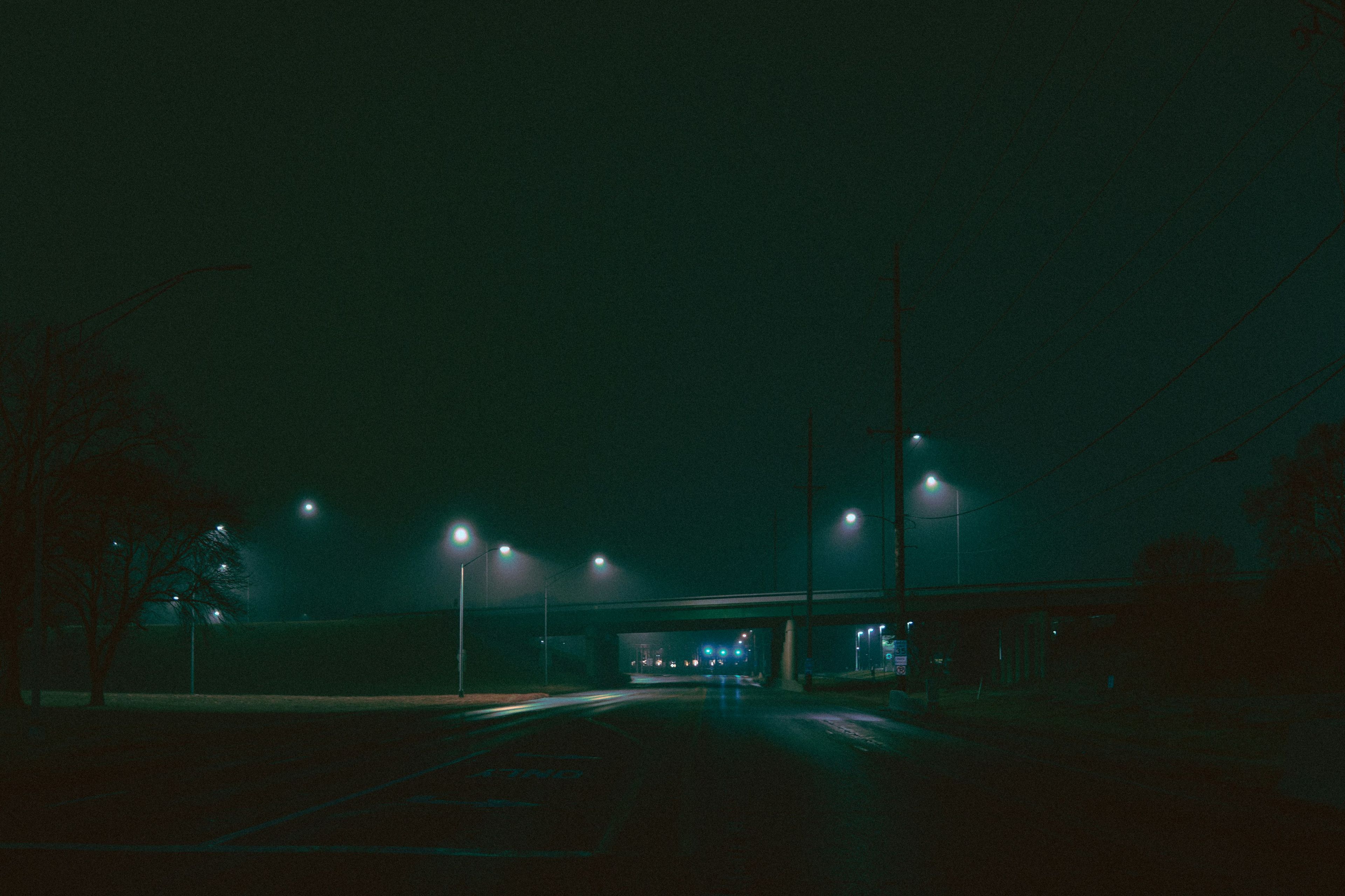 turned-on street lamps