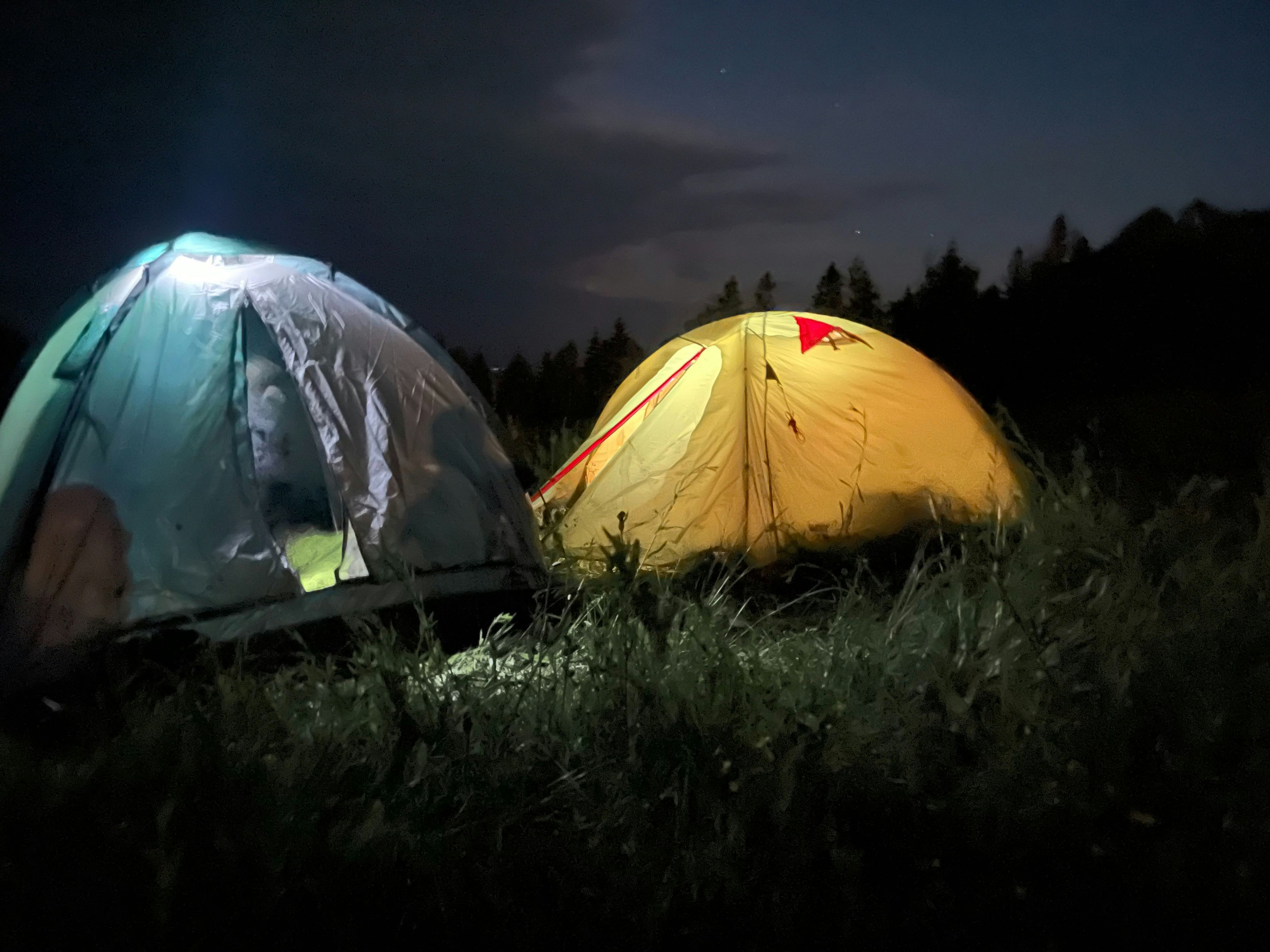 a couple of tents sitting on top of a lush green field