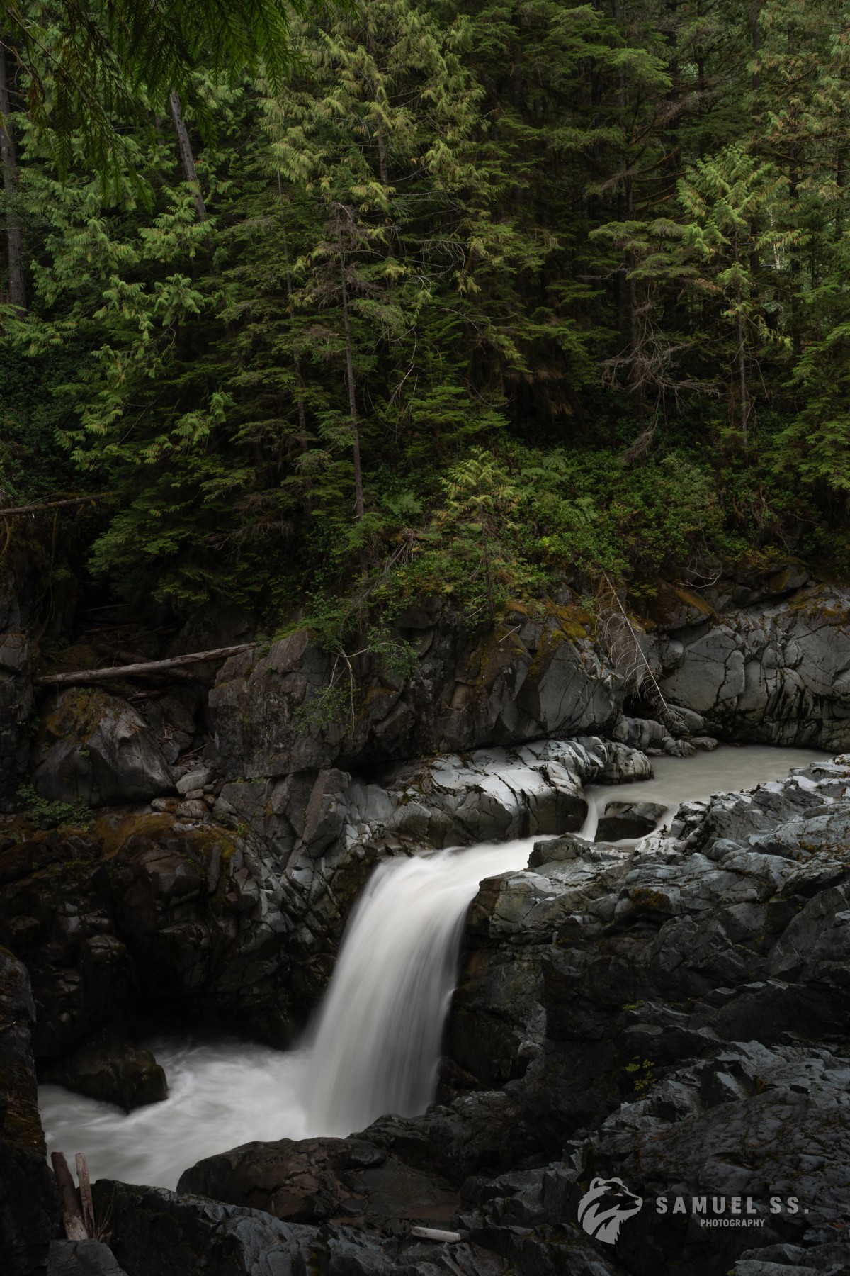 Waterfall in the Woods