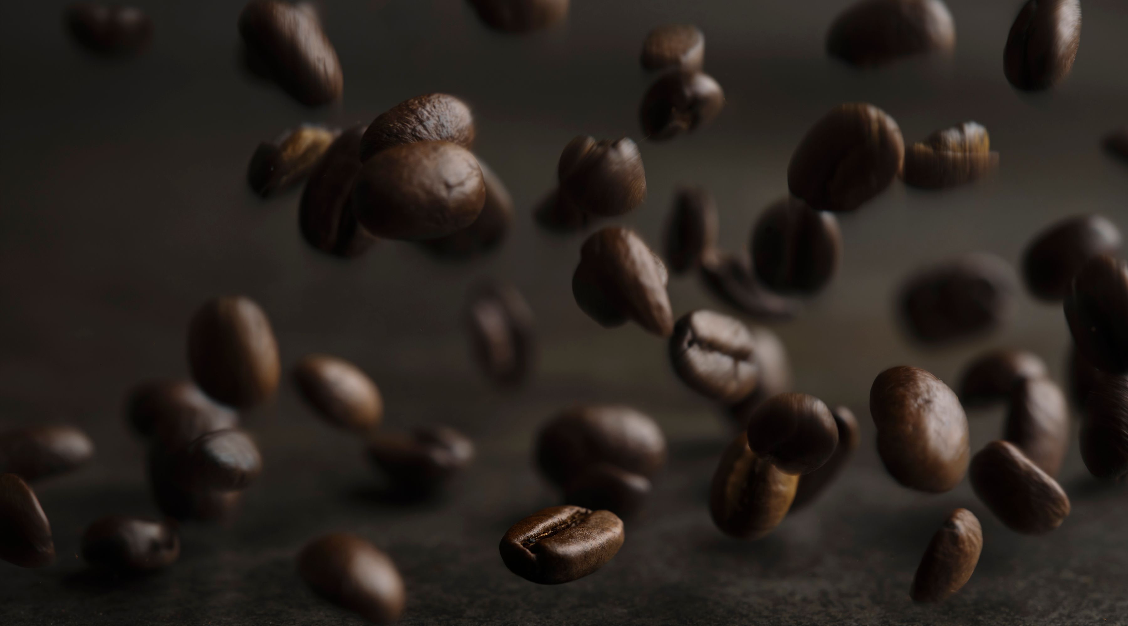 Kicking Horse Coffee Smart Ass Medium Roast Whole Bean 2.2 Pound – Italy  Best Coffee