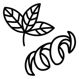 icon of mint leaf and orange peel