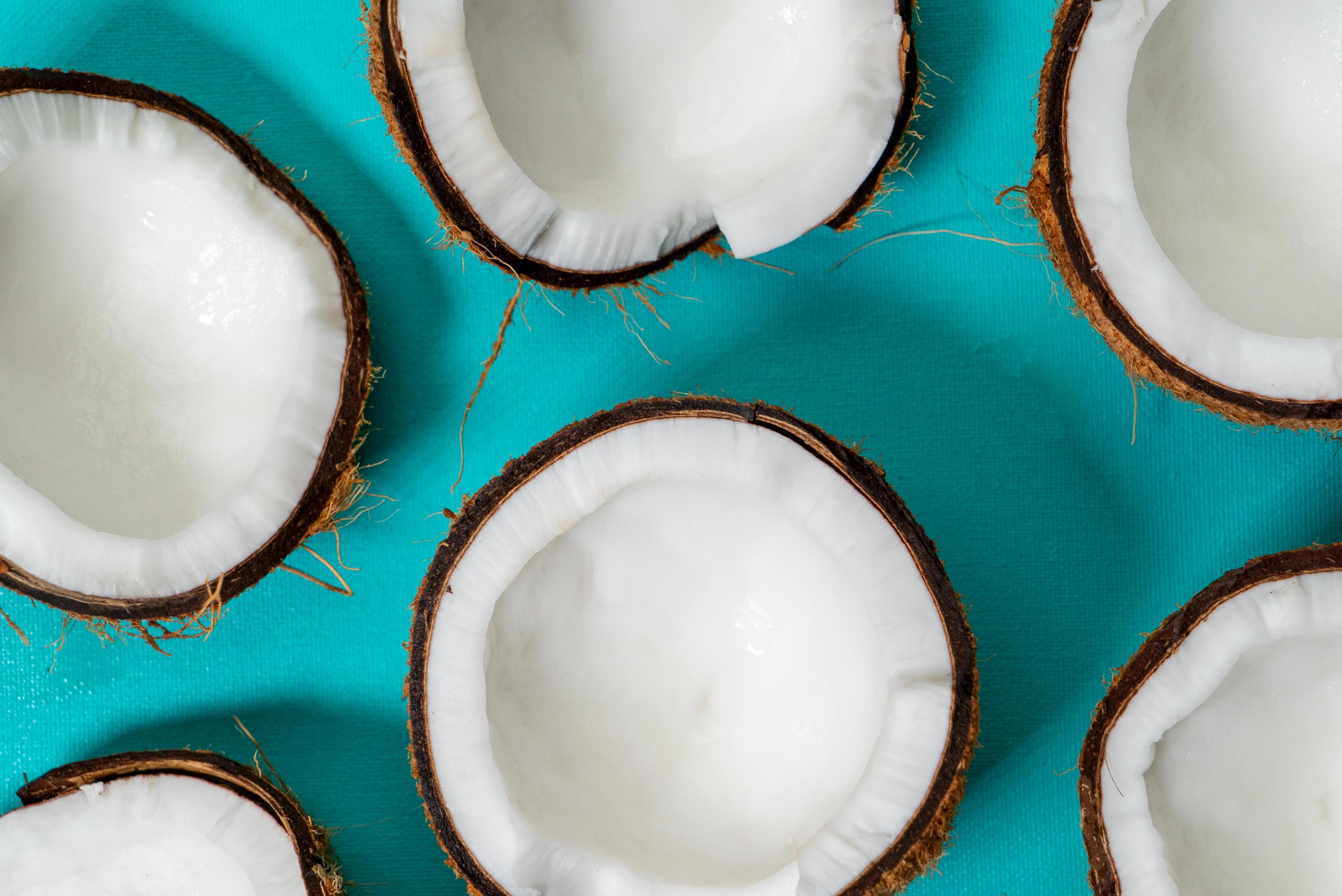 Coconuts on teal background