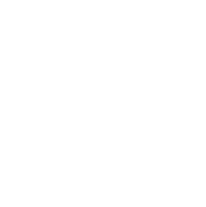Icy Fireworks logo