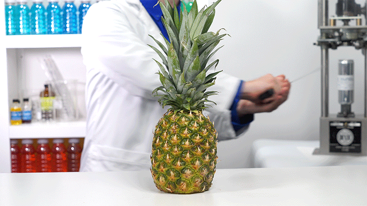 Pineapple Cut