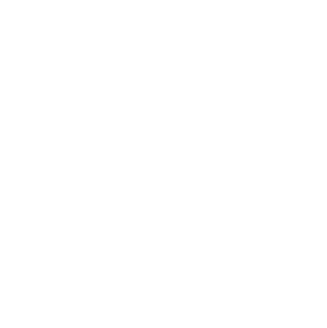 Snow Cone logo