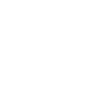 Lemon Tea logo