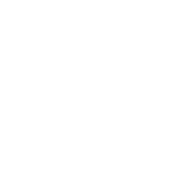O2 logo