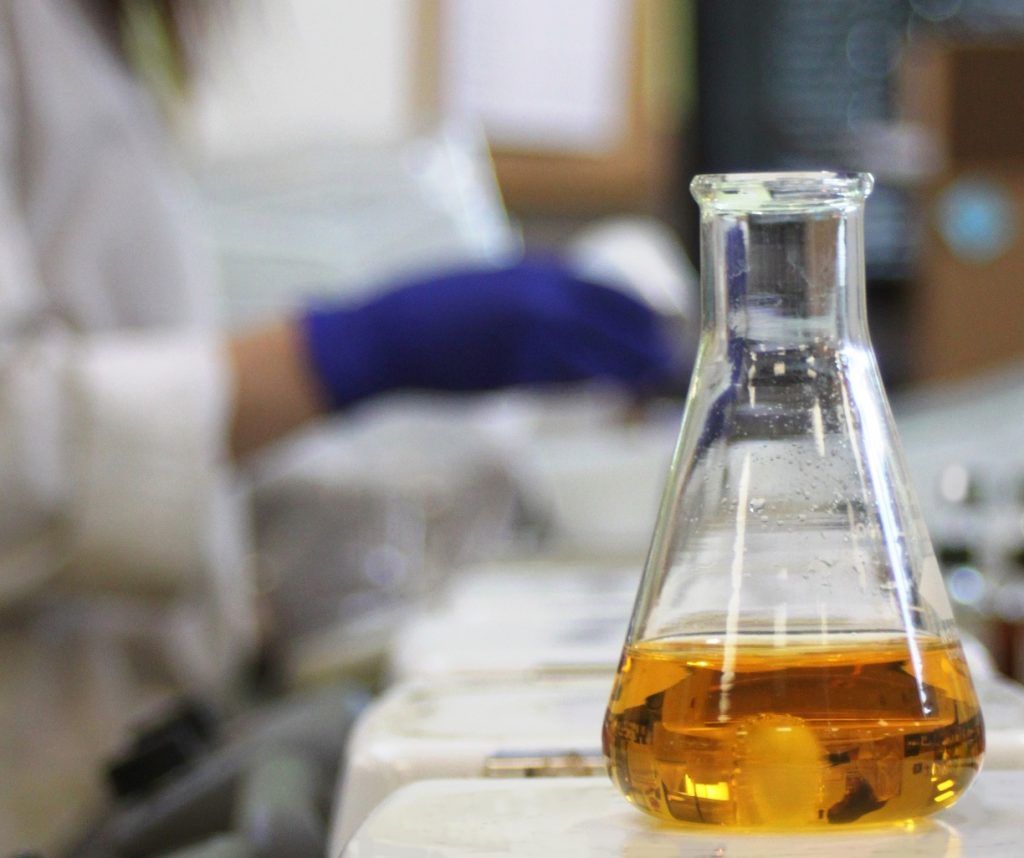 Professionalcbd Production 5 Easy Steps to Get Started in the CBD Business | Flavorman