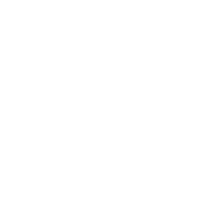 Fruit Punch logo