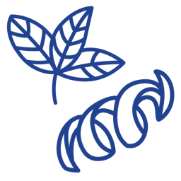icon of mint leaf and orange peel