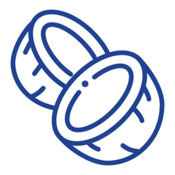 coconut icon