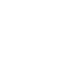 Orange Mango logo