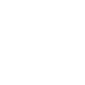 Wildberry logo