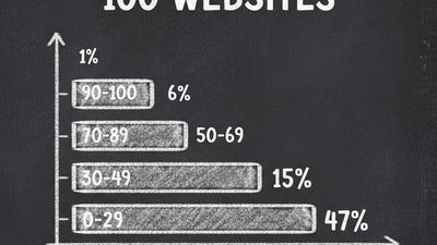 Data report showing 100 websites scanned with AI visibility scores distribution