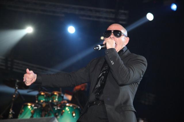 Pitbull, photo 20