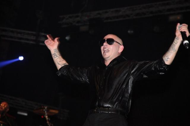Pitbull, photo 11