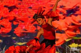 Wizard of Oz, photo 6