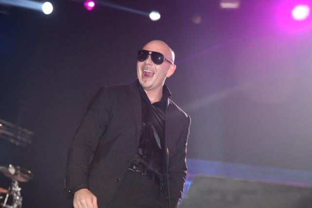 Pitbull, photo 2