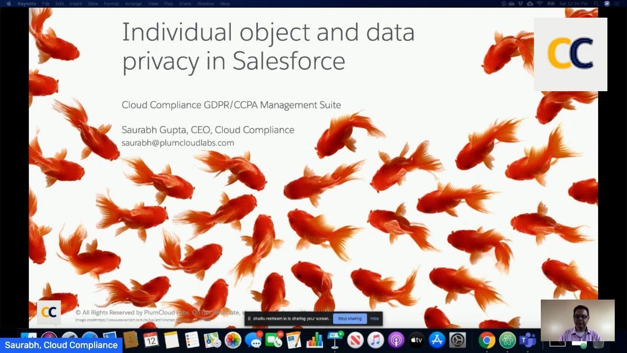 Individual Object and Data Privacy in Salesforce