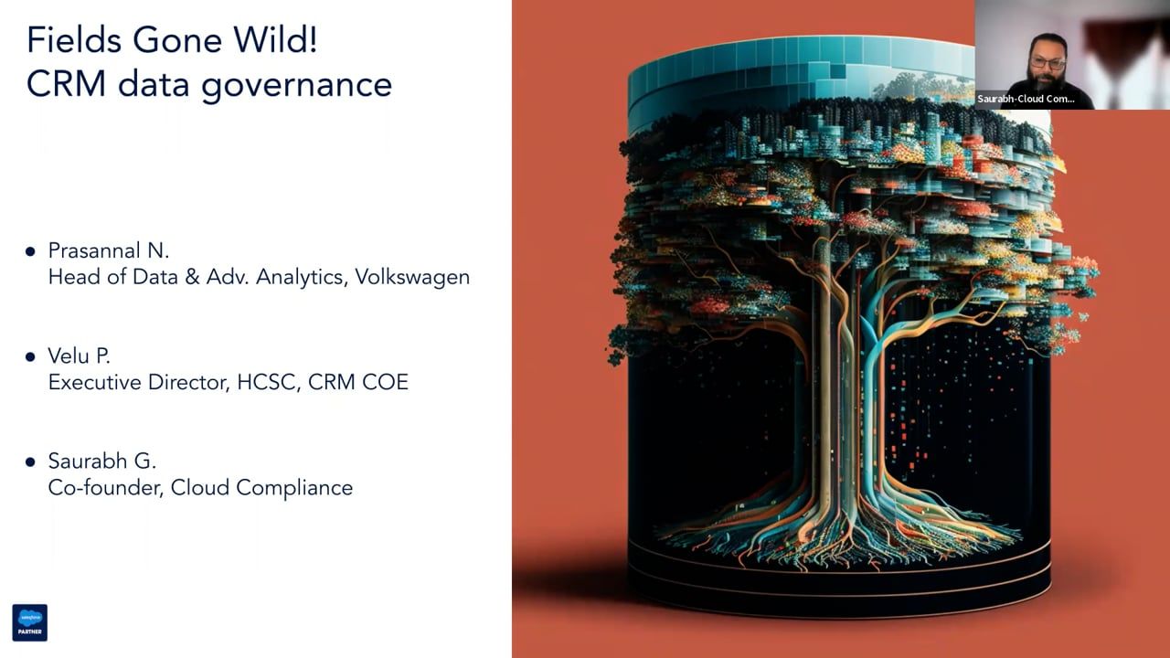 Fields Gone Wild: Salesforce Data Governance