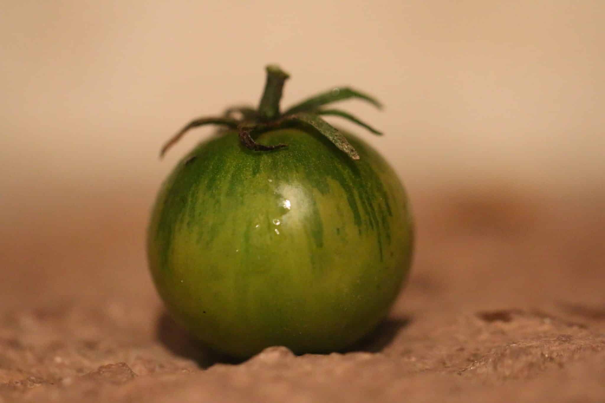 Emerald Green Cherry - indeterminatetomat fröer
