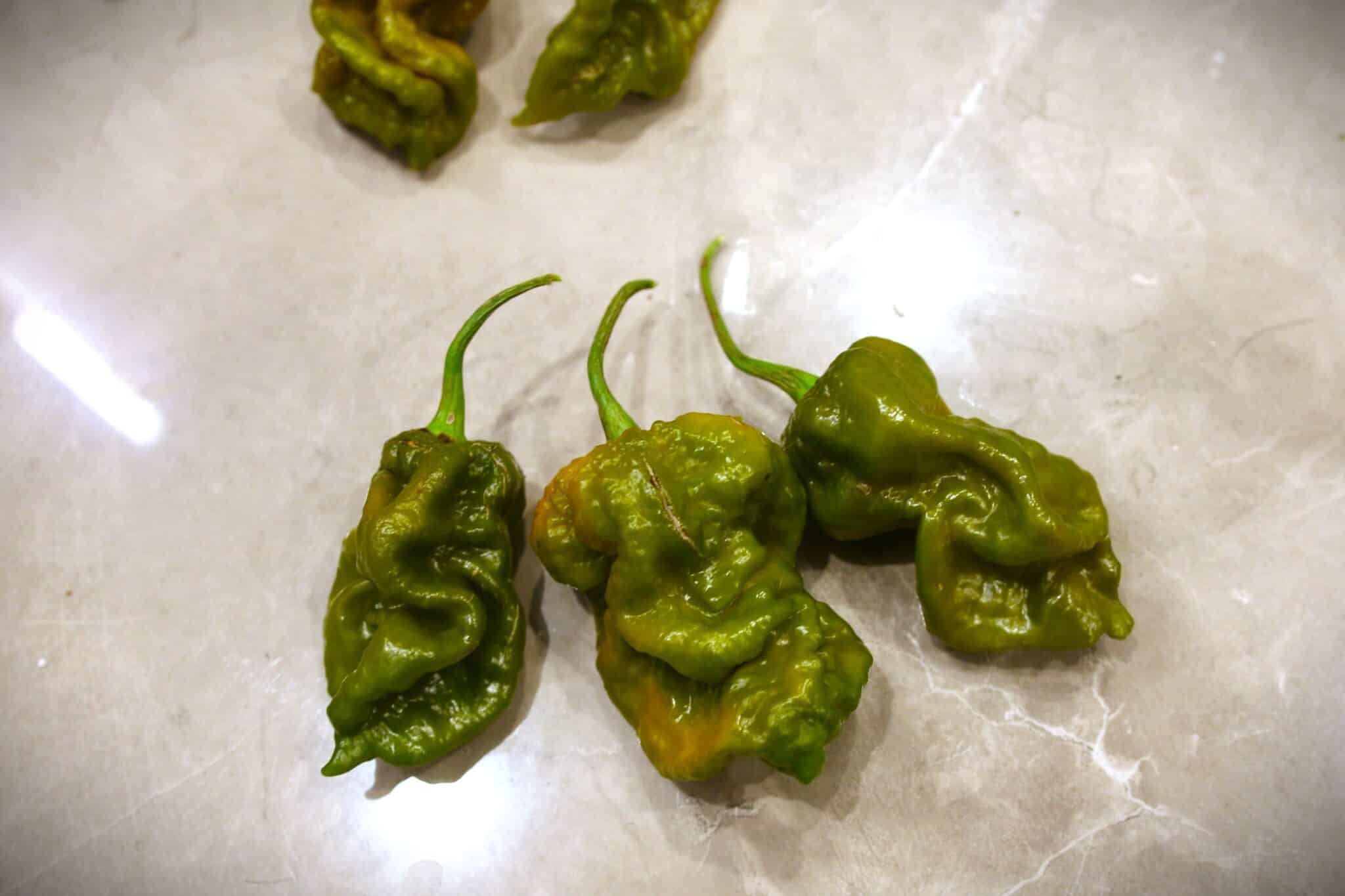 MOAB Mustard Ghost (Capsicum chinense) fröer