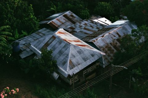 Grey Canopies — Puerto Narino, Colombia