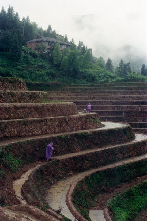 Pas à pas — Guangxi, China, 2023