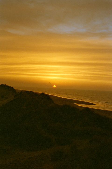 Untitled (VD-11) — Oostduinkerke, Belgium, 2025