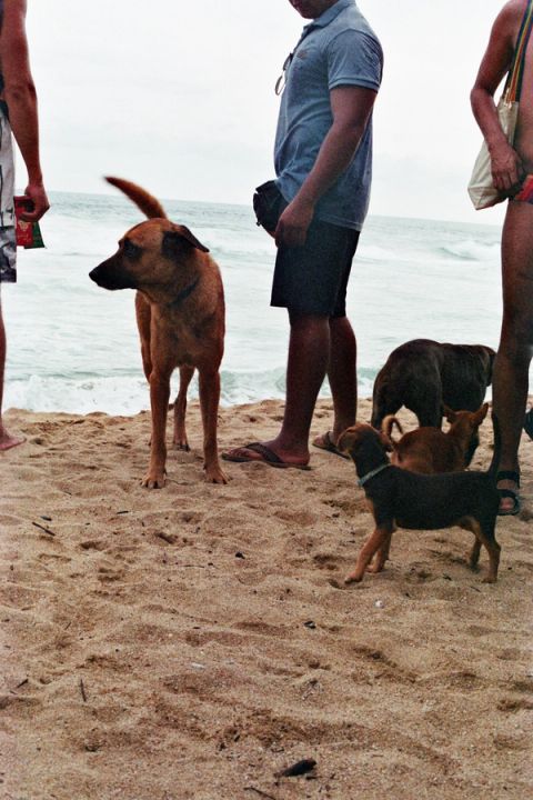Zipolite — Oaxaca, Mexico, 2022