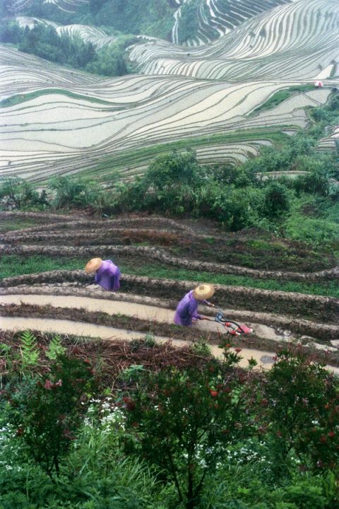 Dos à dos — Guangxi, China, 2023
