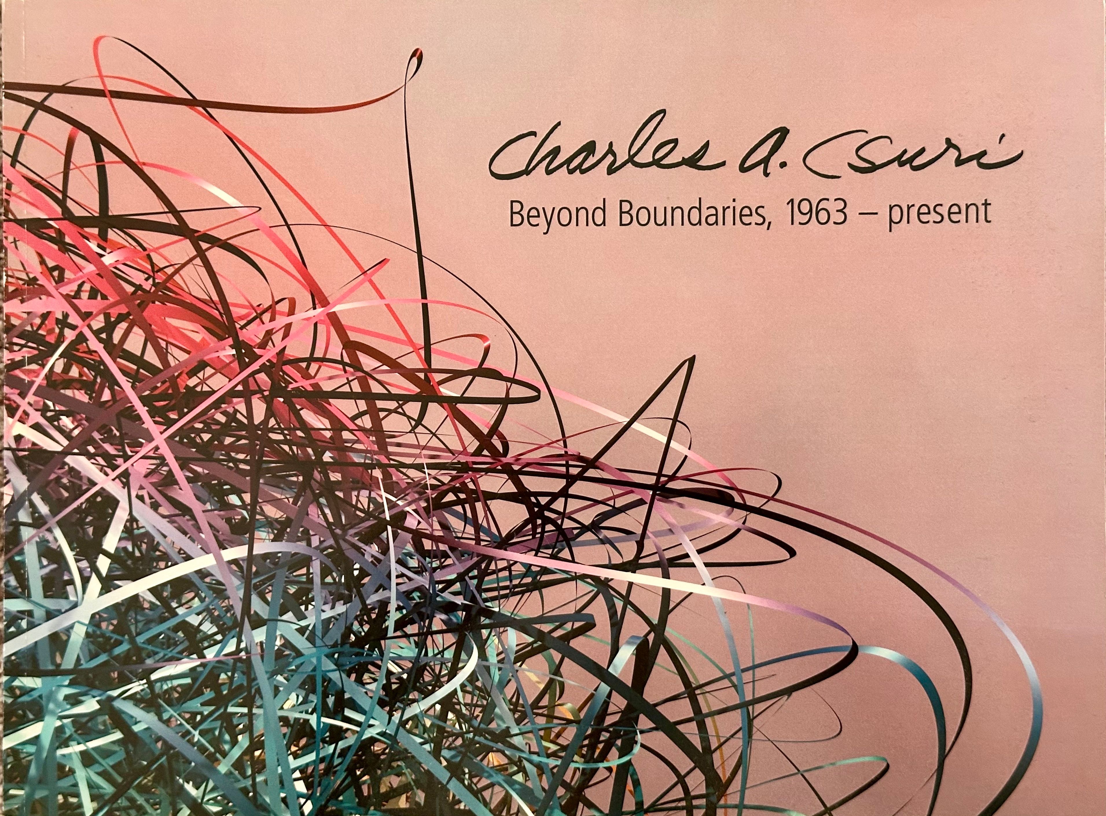 Front cover of Charles A. Csuri: Beyond Boundaries, featuring a detail of Entanglement, 2002.